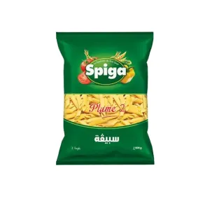 Online-Großhändler für Feder 2_500g_Spiga