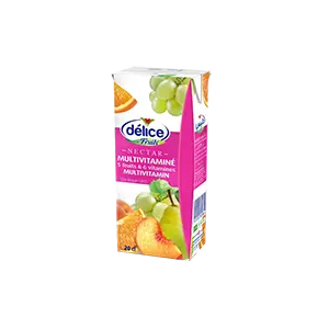 Jus Délice Multivitaminé 20 cl