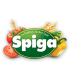 Spiga