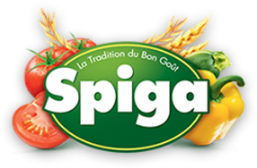 Spiga